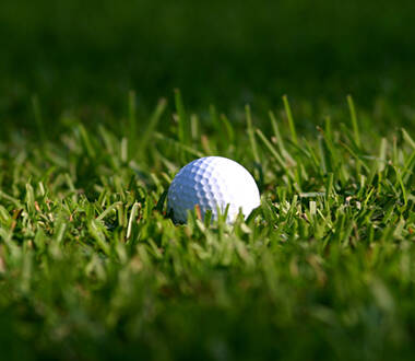 Golf day